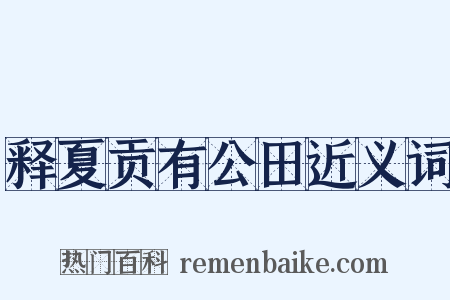 释夏贡有公田近义词是什么意思的图片